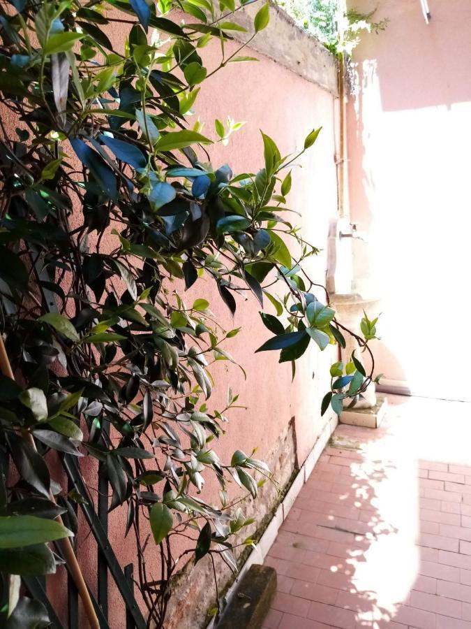 Biennale Flat Διαμέρισμα Βενετία Εξωτερικό φωτογραφία